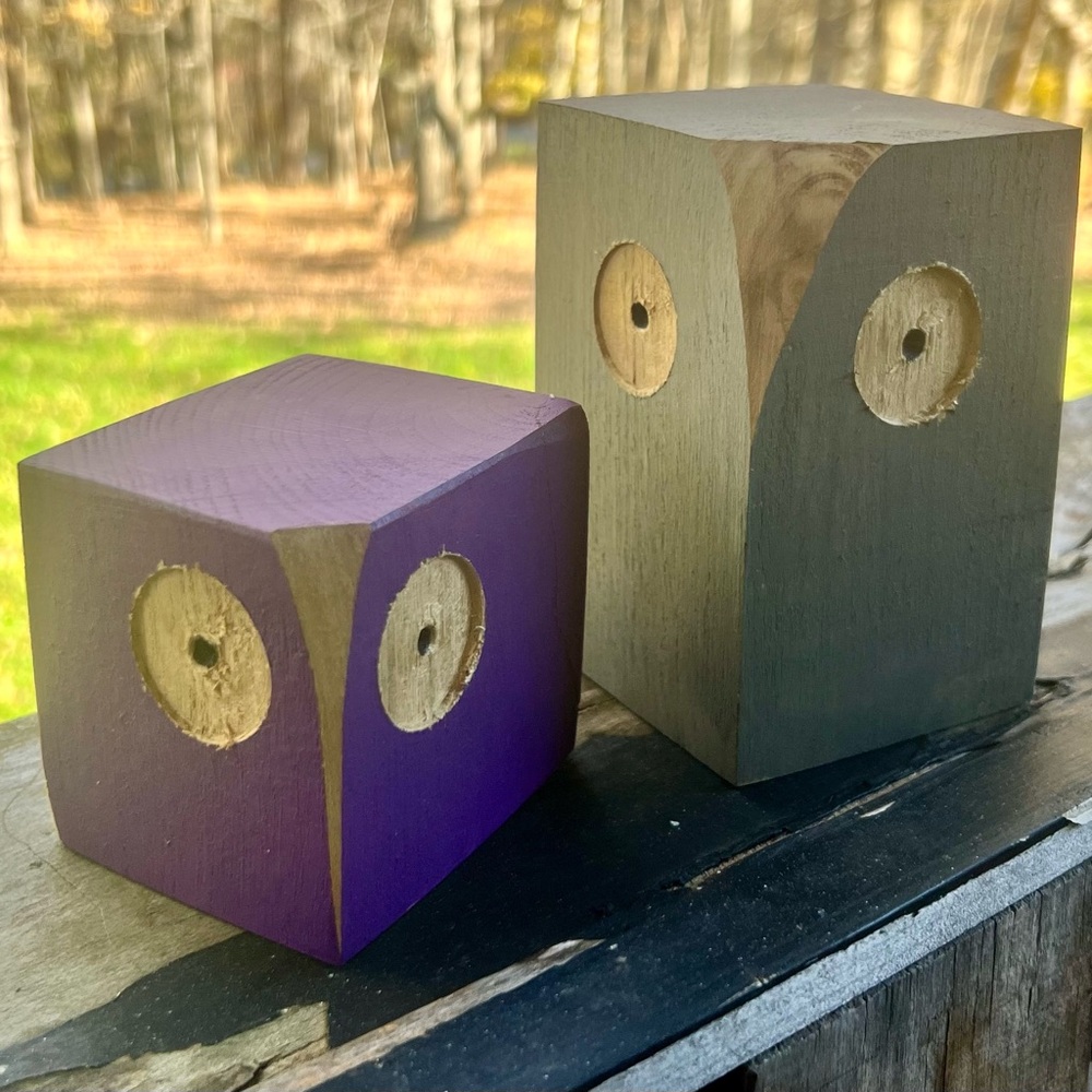 Rustic wooden Owls set of 2